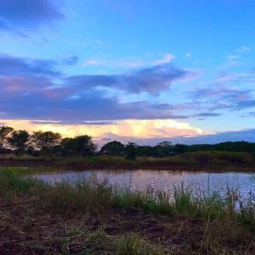 Bahati Caravan Park & Game Farm