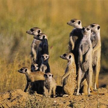 Camdeboo National Park
