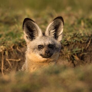 Camdeboo National Park