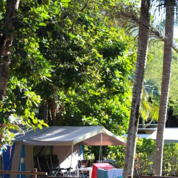 Dolphin Holiday Resort