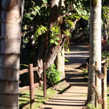 Dolphin Holiday Resort