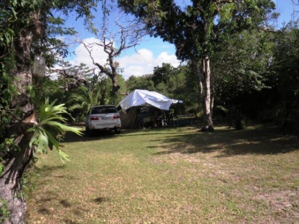 Ilala-Palm-Caravan-Park-1