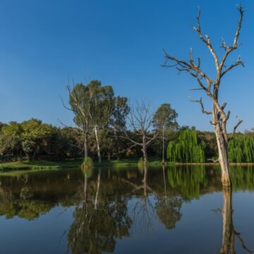 Klein Paradys Caravan Park