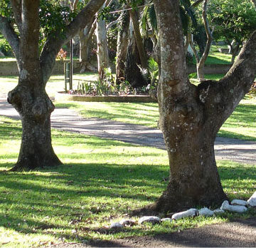 Leisure View Caravan Park