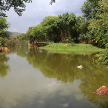 Mbizi Game Lodge & Spa