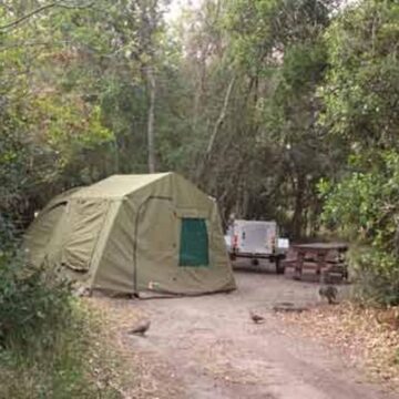 Natures Valley Rest Camp