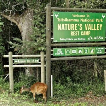 Natures Valley Rest Camp