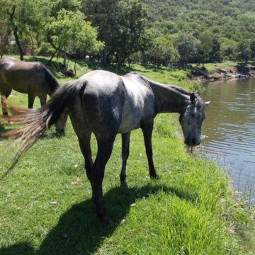 Olifants River Lodge