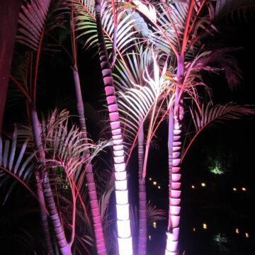 Villa Spa Resort