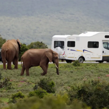Discoverer 6 Motorhome