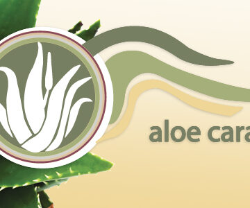 Aloe Peri Peri Caravan