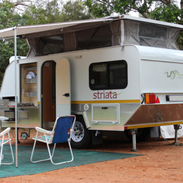 Aloe Striata Caravan