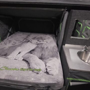 Tuff Cats Shumba 4 Max Caravan