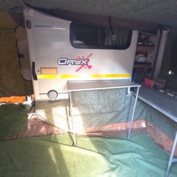 2012 Jurgens Safari Oryx
